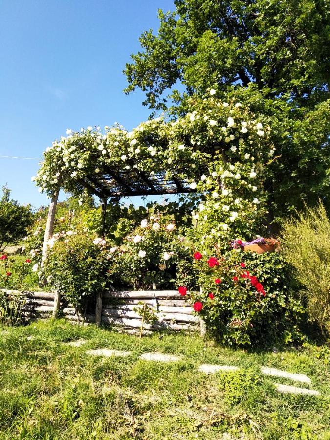 Sotto La Luna Bruna B&B Cocconato Exterior foto